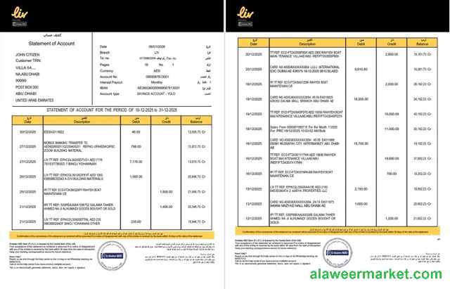 UAE Liv. Digital Bank statement of account Word and PDF template, 2 pages